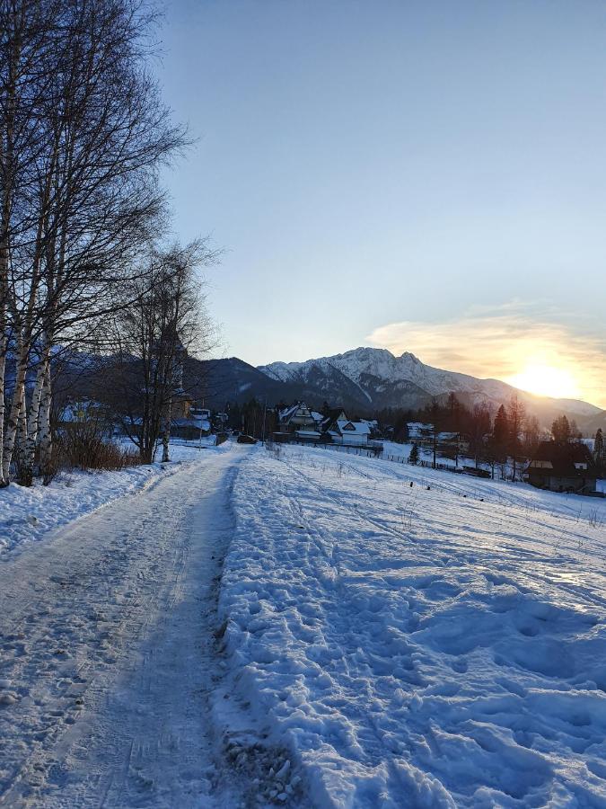 Podhalanskie Zacisze Zakopane Exterior photo