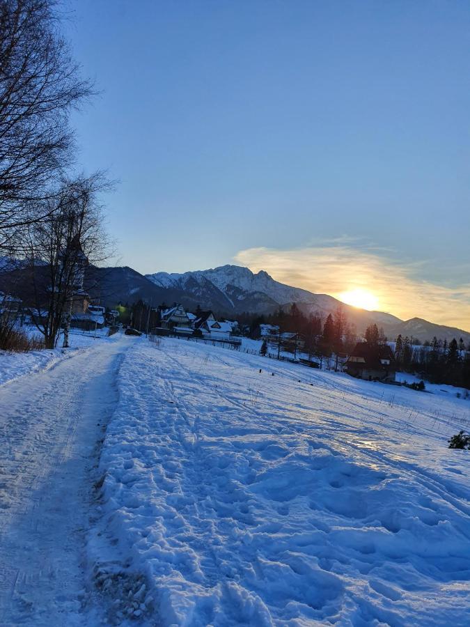 Podhalanskie Zacisze Zakopane Exterior photo